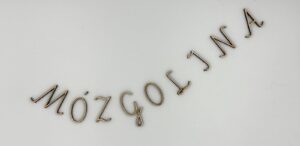 Mózgolitery